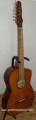 Guitarra Rockera modelo CGE 6